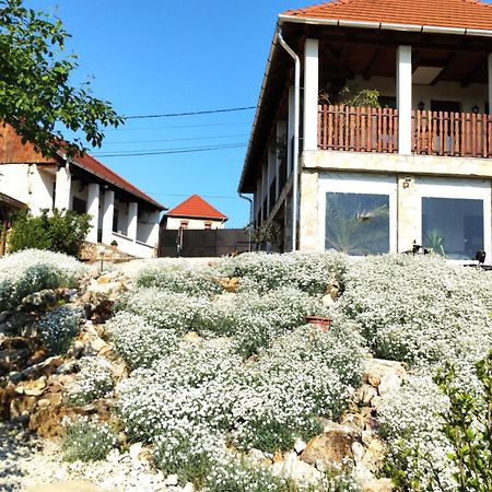 Hegyaljai Panoráma Vendégház Szerencs Exterior foto