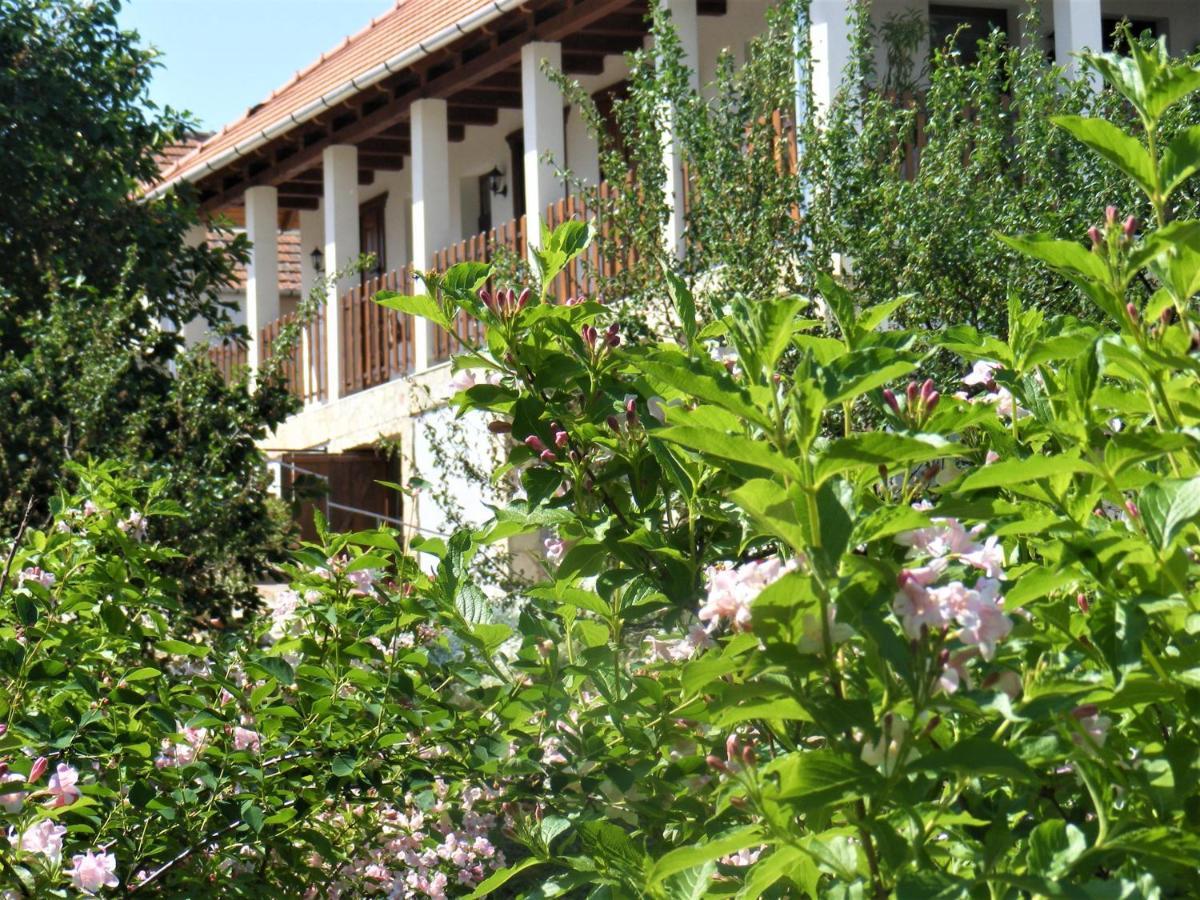 Hegyaljai Panoráma Vendégház Szerencs Exterior foto