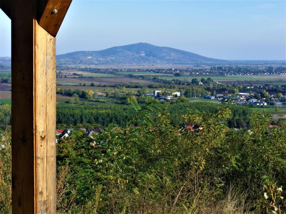 Hegyaljai Panoráma Vendégház Szerencs Exterior foto