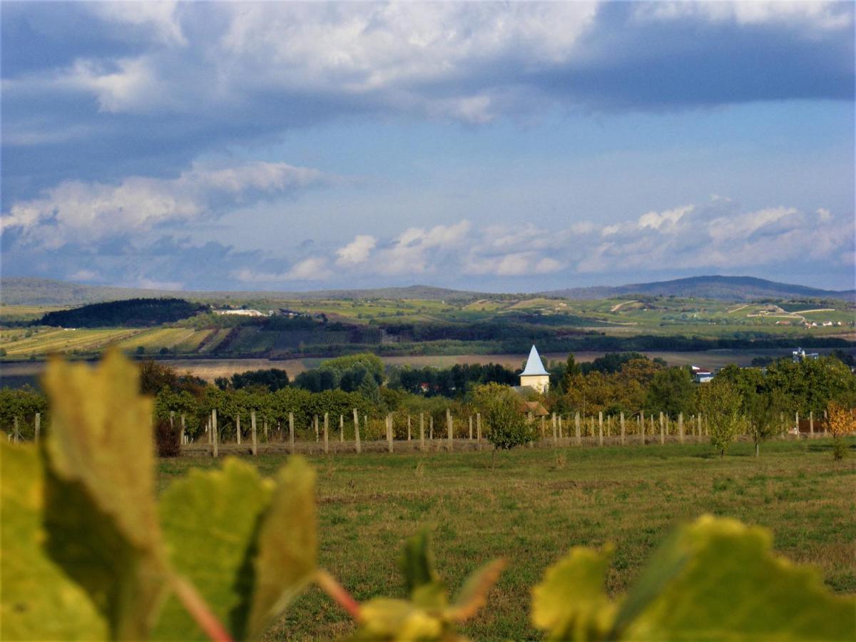 Hegyaljai Panoráma Vendégház Szerencs Exterior foto